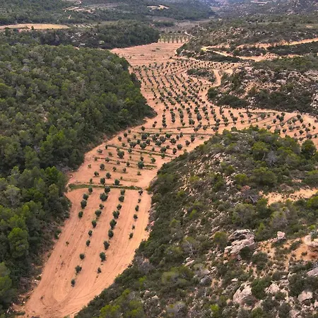 Casa La Rabosa Aragon Holiday home