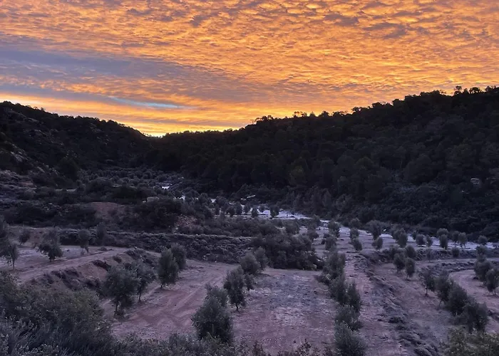 Casa La Rabosa Aragon Holiday home Maella