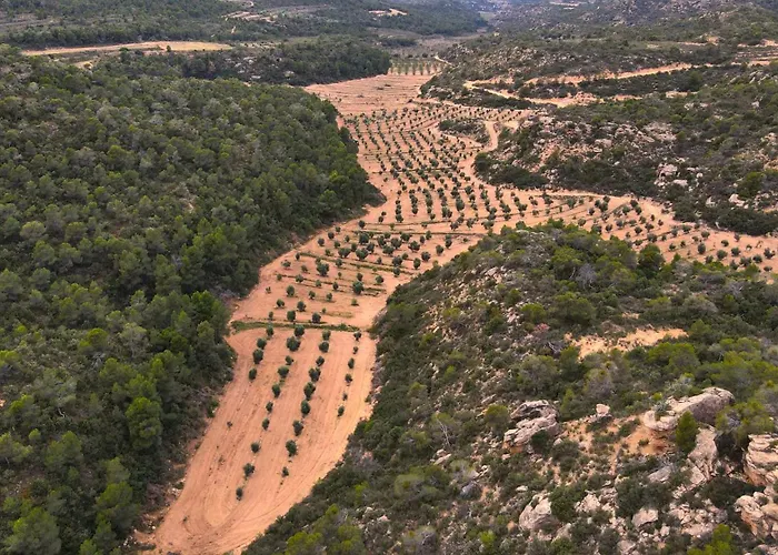 Casa La Rabosa Aragon Holiday home